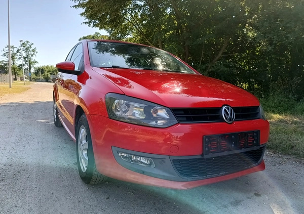 Volkswagen Polo cena 14999 przebieg: 97000, rok produkcji 2009 z Nysa małe 379